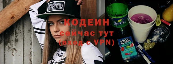 прущие грибы Волоколамск