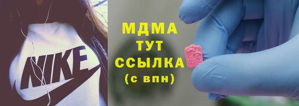 прущие грибы Волоколамск