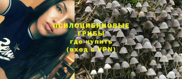 прущие грибы Волоколамск