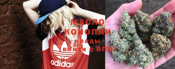 гидра Володарск