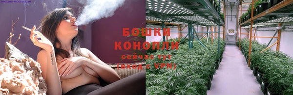 стаф Вяземский