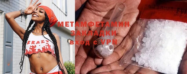 прущие грибы Волоколамск